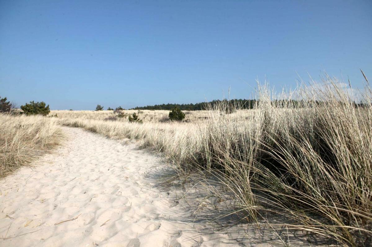 La Tulipe Egmond aan den Hoef Exterior foto