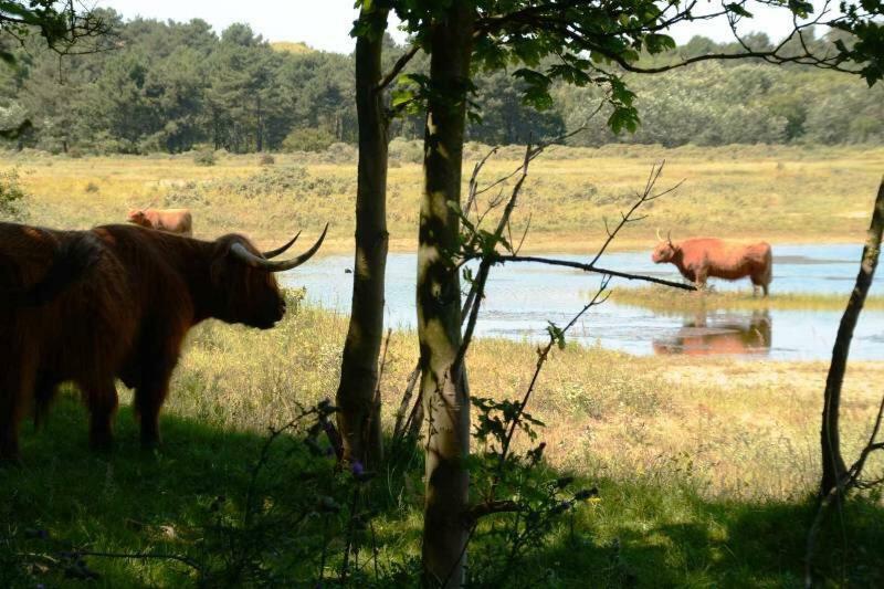 La Tulipe Egmond aan den Hoef Exterior foto
